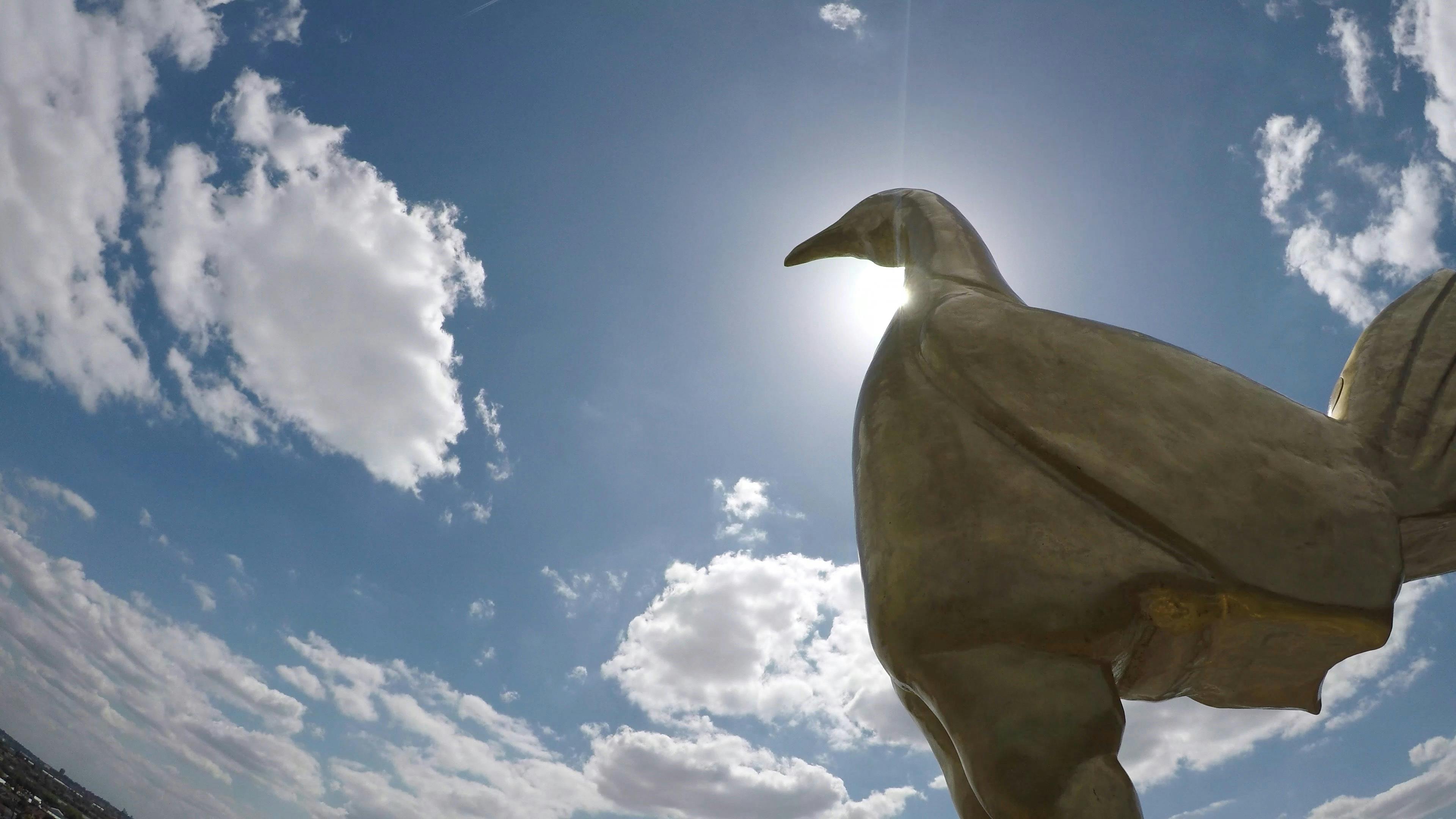 대담한 스카이워크에서 즐기는 황금빛 스퍼스 코커렐