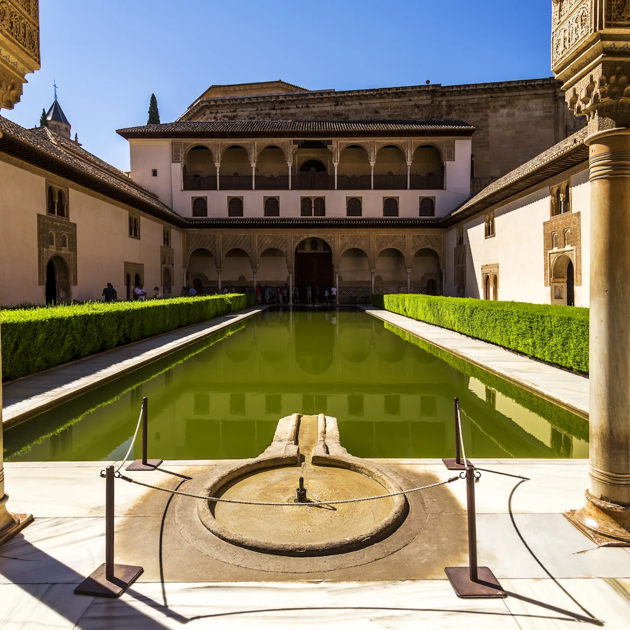 Alhambra Pomegranate