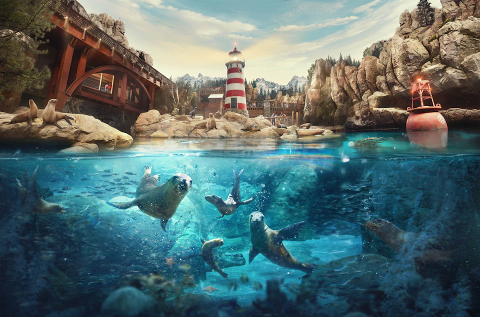 A split view shows seals swimming underwater and a scenic landscape with a lighthouse, rocky cliffs, and a bridge in the background.