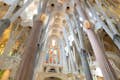 Zuilen van de Sagrada Familia