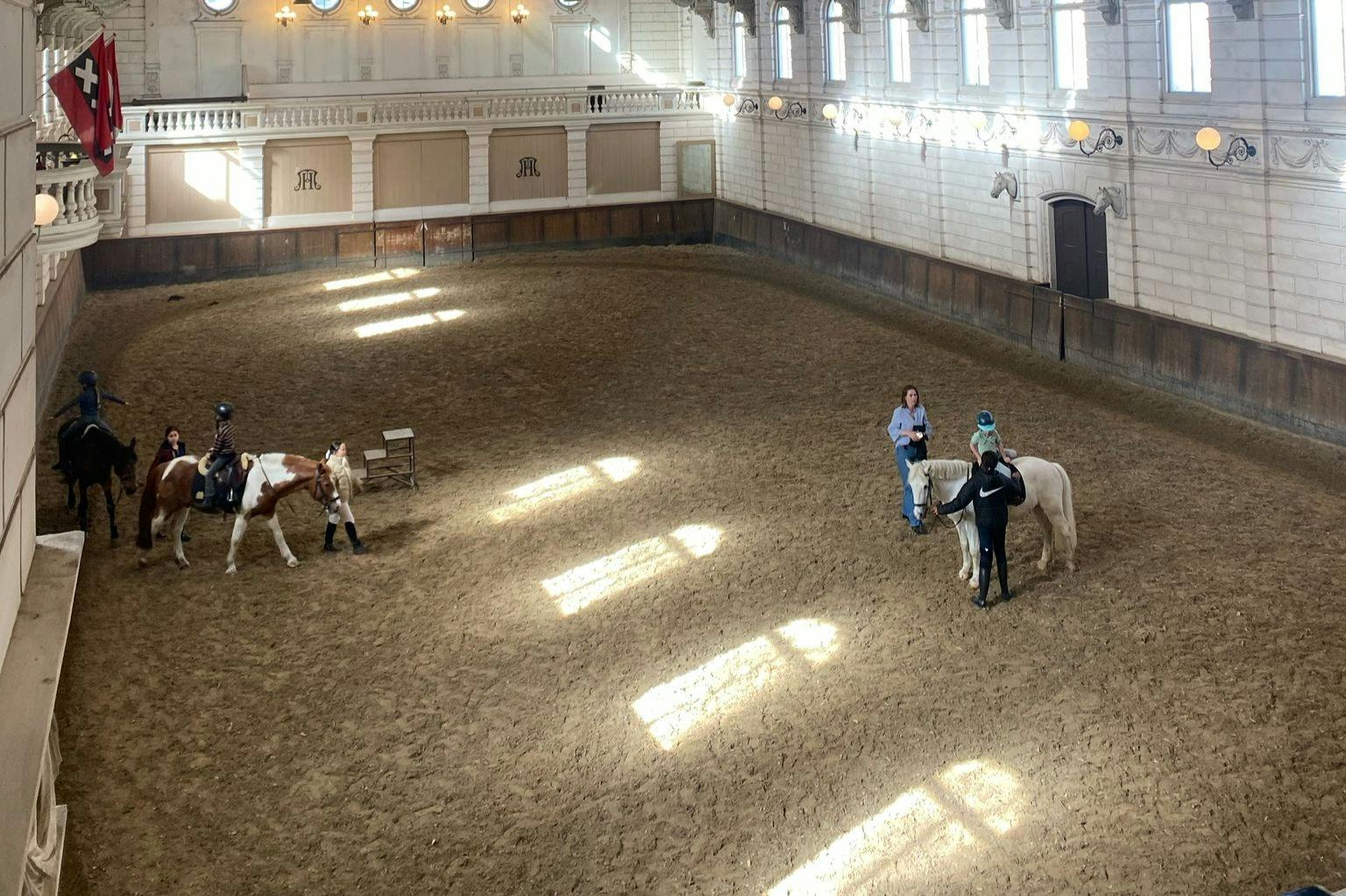 Enjoy a bite with a spectacular view in Amsterdam that you never would have expected.