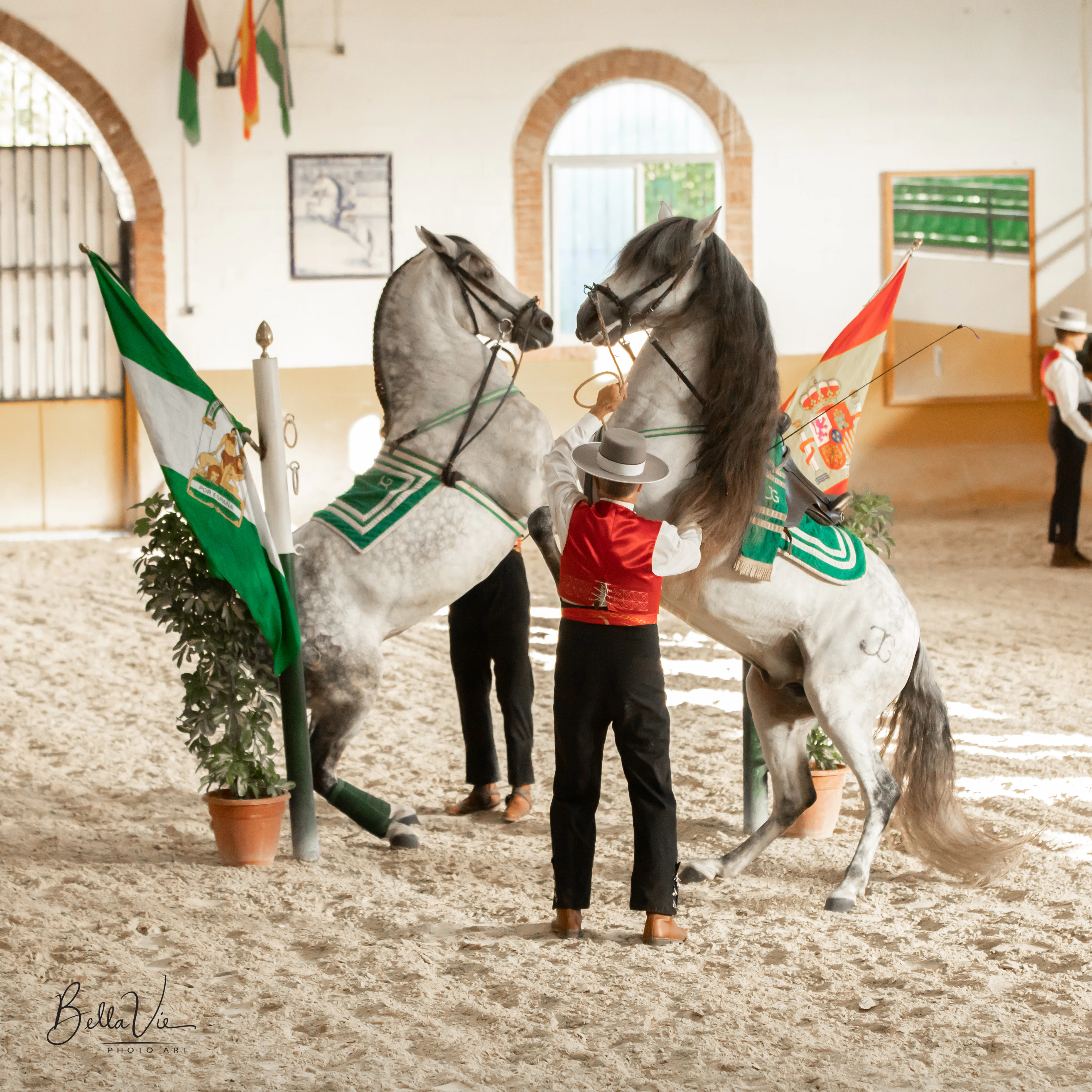 Club Hipico El Ranchito: Andalusian Horse and Flamenco Show