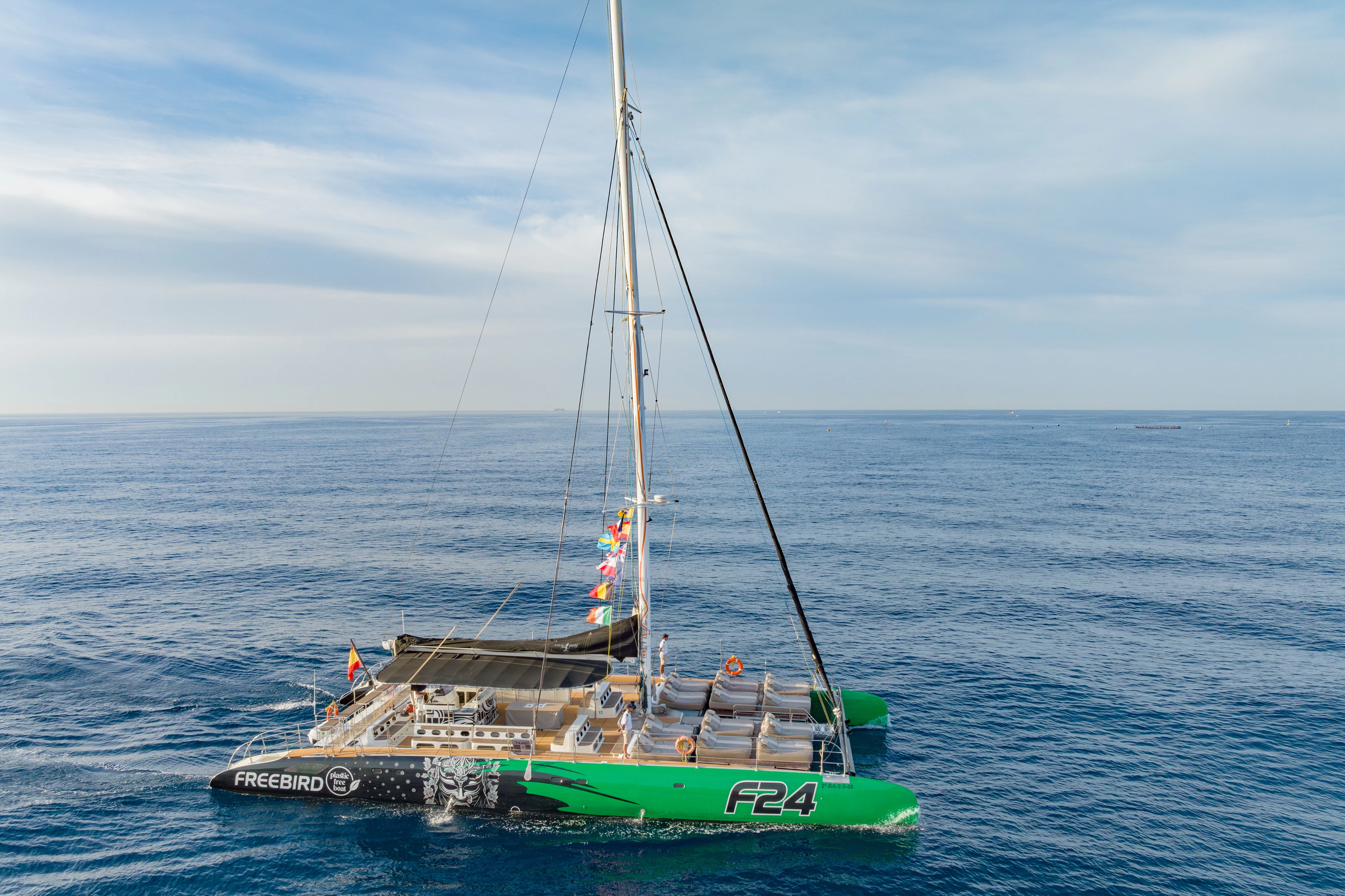 Tenerife: 3-Hour Whale & Dolphin Watching Tour
