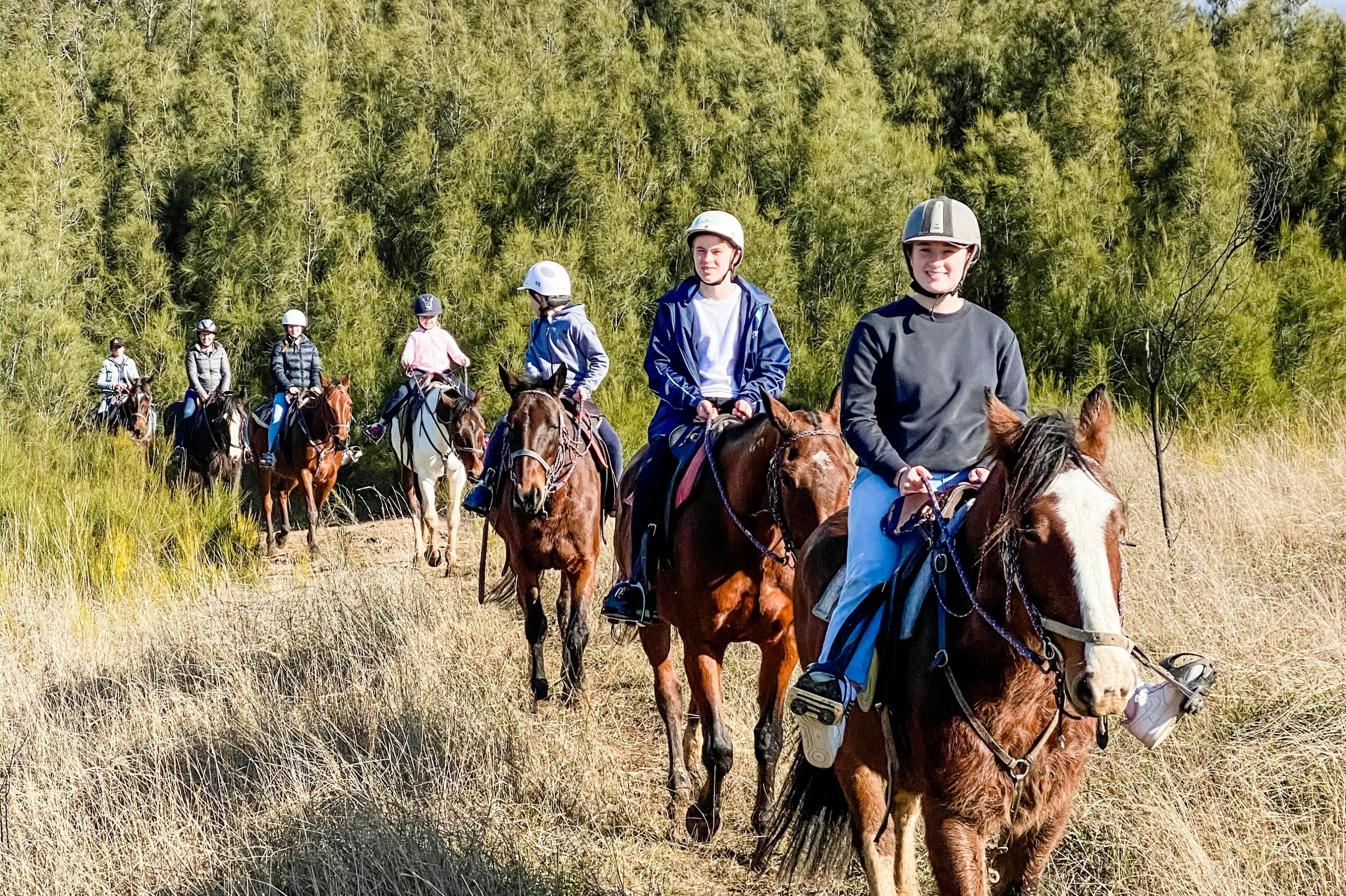 A group of people riding horses on a grassy trail with trees in the background on a sunny day.