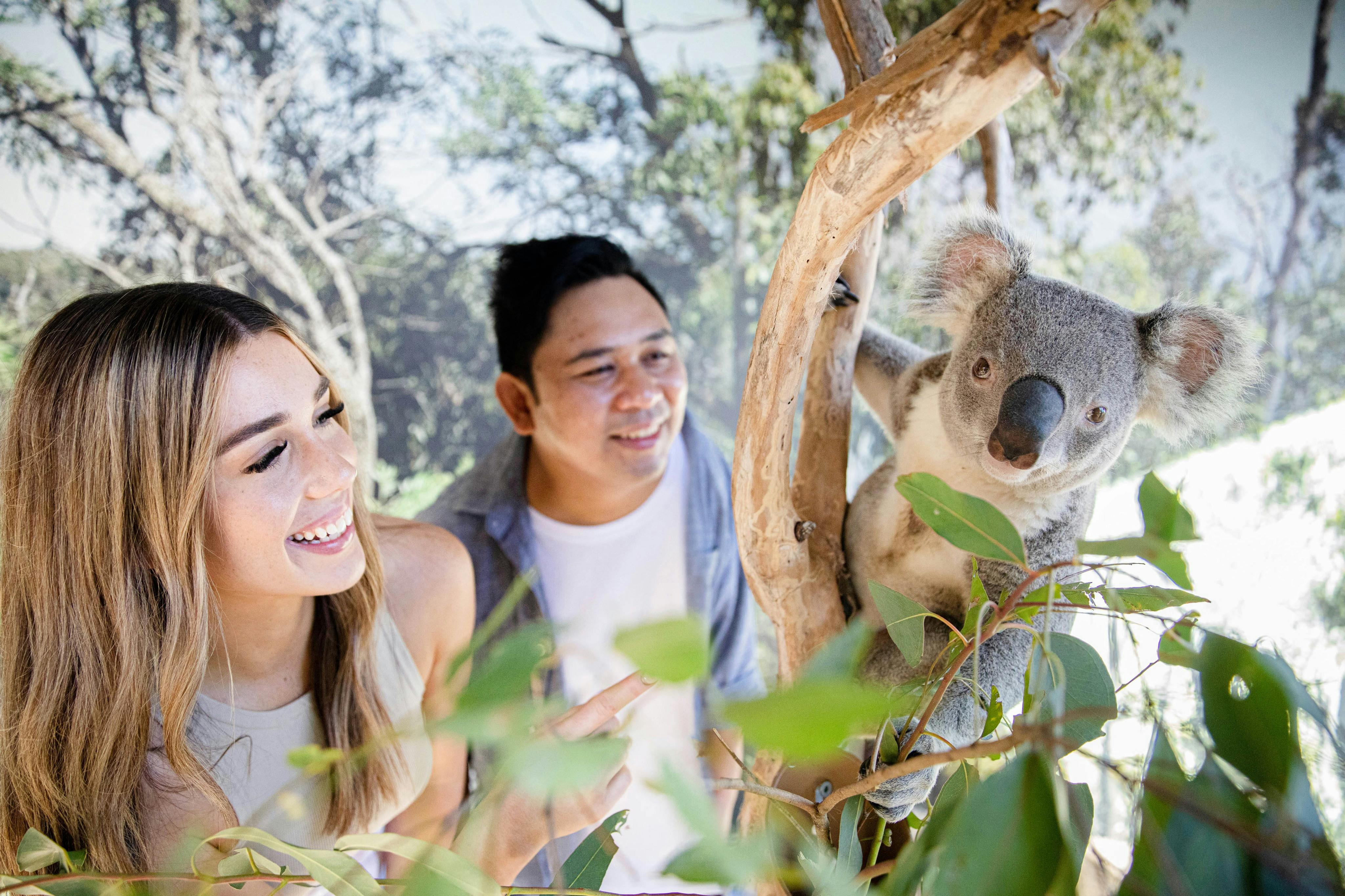 Holen Sie sich Ihr KOSTENLOSES Digitalfoto von Ihnen aus nächster Nähe mit einem Koala