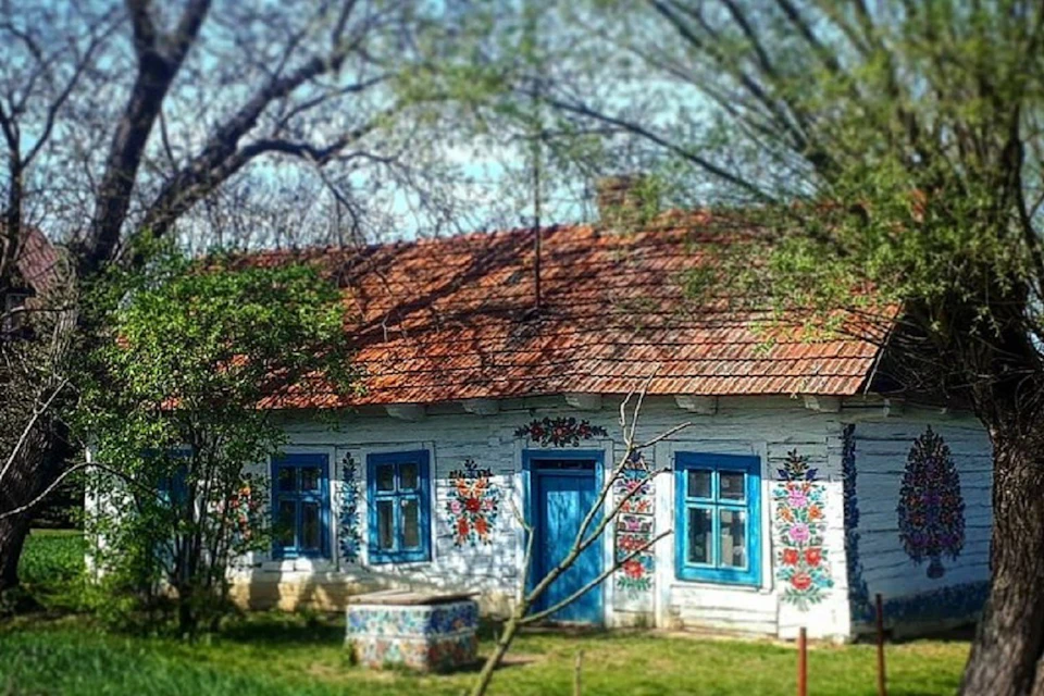 House in Zalipie