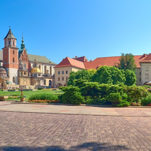 Castillo de Wawel: Tour guiado