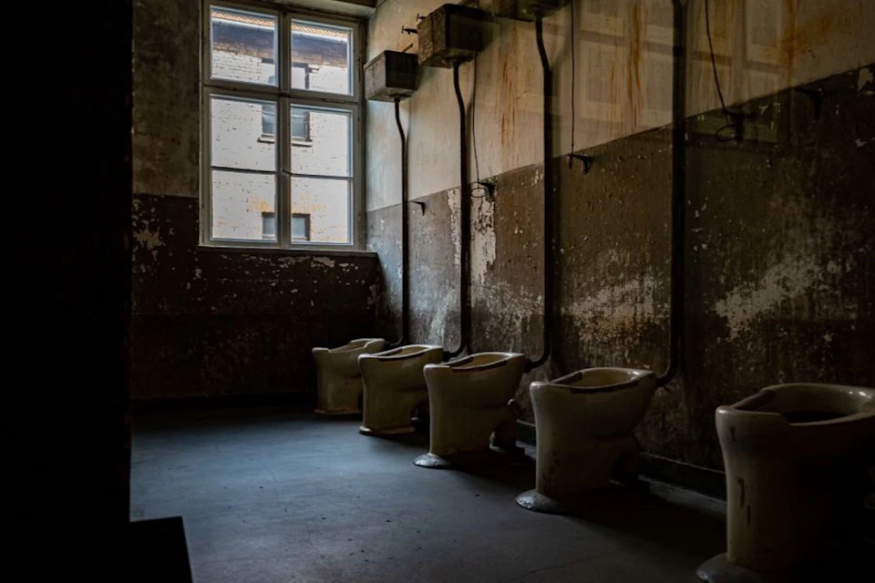 Auschwitz sanitary conditions
