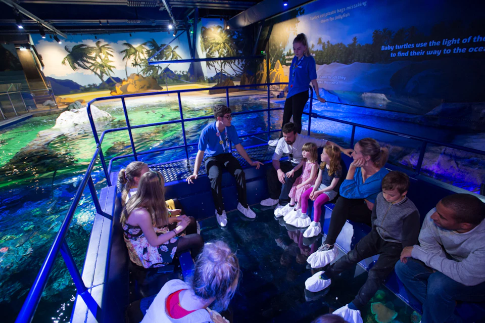 Group of people, including children and adults, sitting on a glass floor with water beneath, guided by two staff members in a marine-themed room.