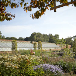 Lummig trädgård med olika växter och blommor framför tre stora växthusbyggnader under en klar, blå himmel.