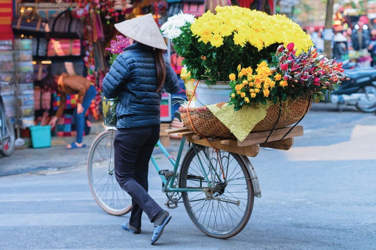 City Sightseeing Hanoi: tour in autobus Hop-on Hop-off di 24 o 48 ore — 5