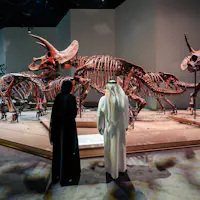 To personer i traditionel påklædning observerer en Triceratops-skeletudstilling i et museum, der udstiller under blød belysning.
