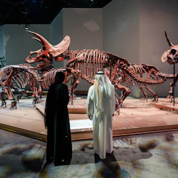 Musée d'histoire naturelle d'Abu Dhabi : Billet d'entrée