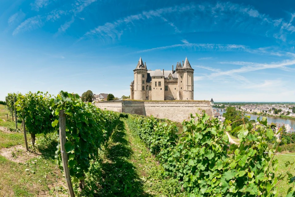 Vineyards