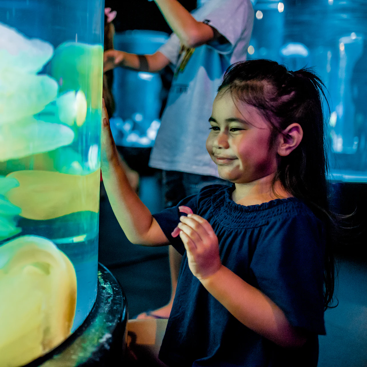 SEA LIFE Sydney Aquarium: Entry Ticket in Sydney β Tiqets