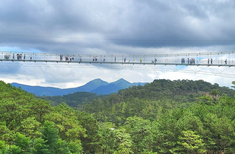 Valley Of Love Da Lat: Admission Ticket + Glass Bridge