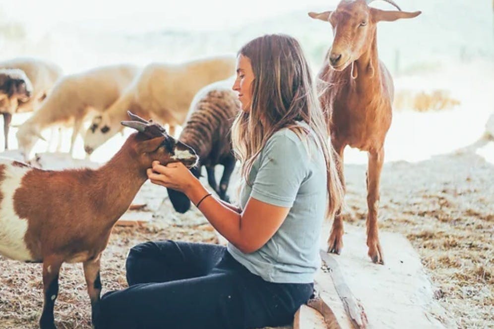 Fondation de la réserve forestière sauvage