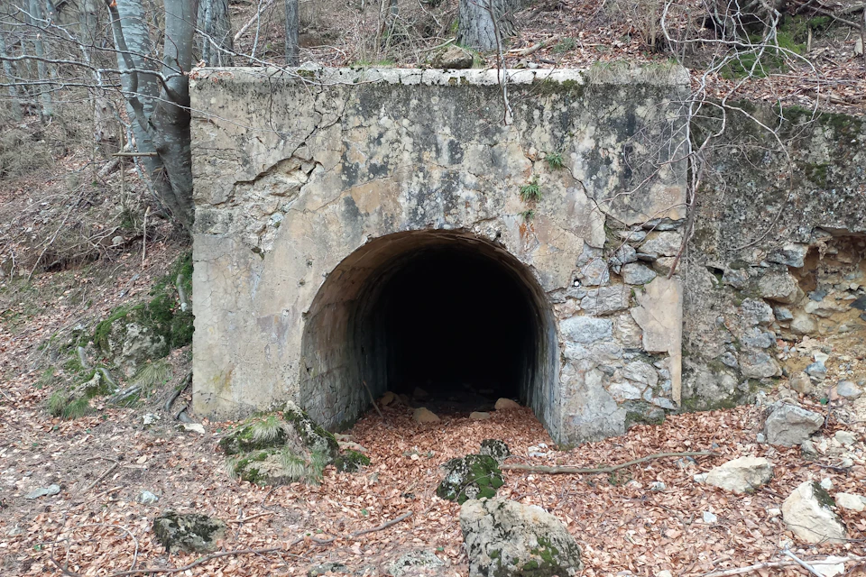 A small, weathered stone tunnel entrance surrounded by forest and fallen leaves.