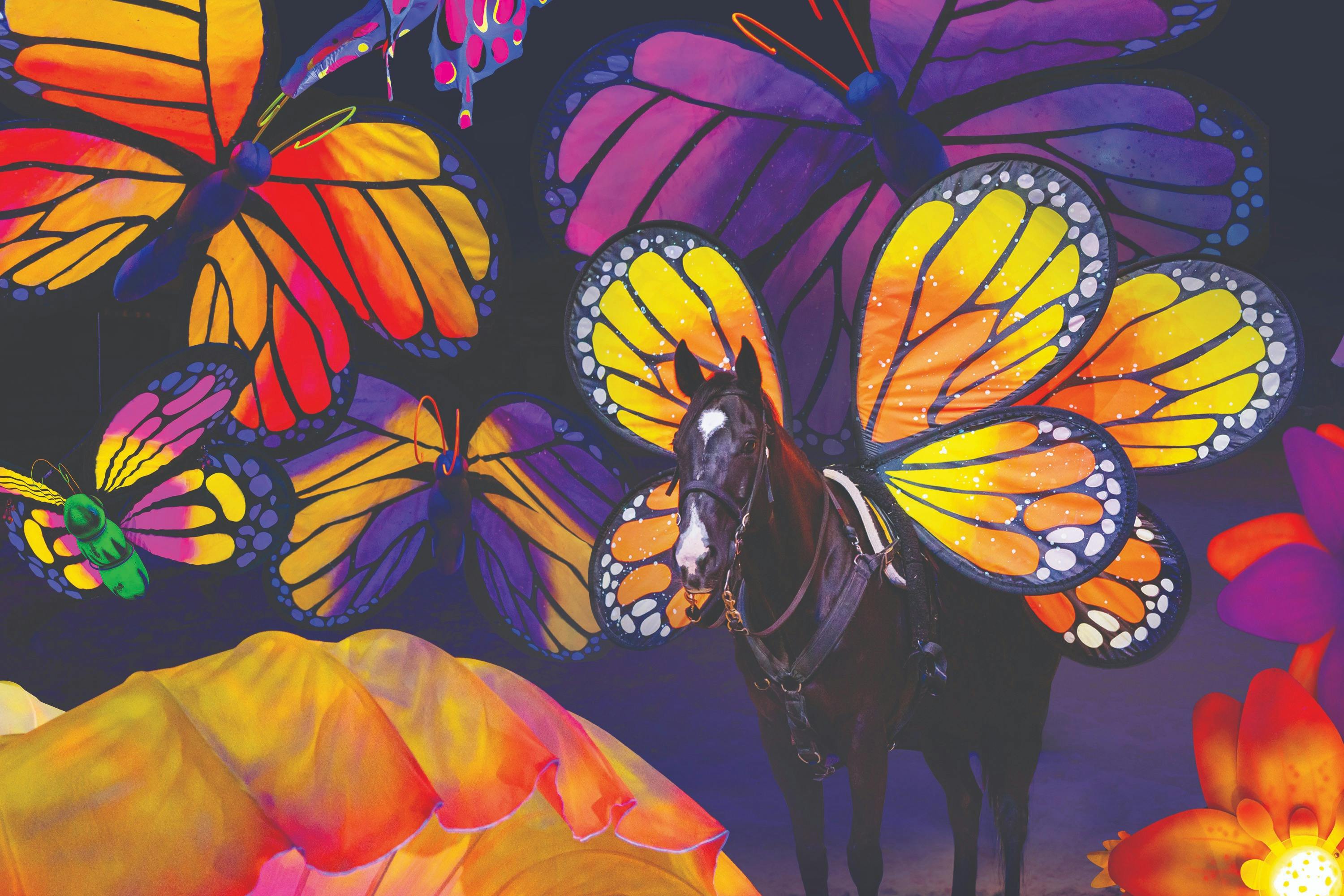 Atracció Dolly Parton's Stampede Dinner