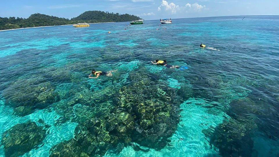 People snorkeling in clear blue water with visible coral reefs; boats and a lush island in the background under a partly cloudy sky.