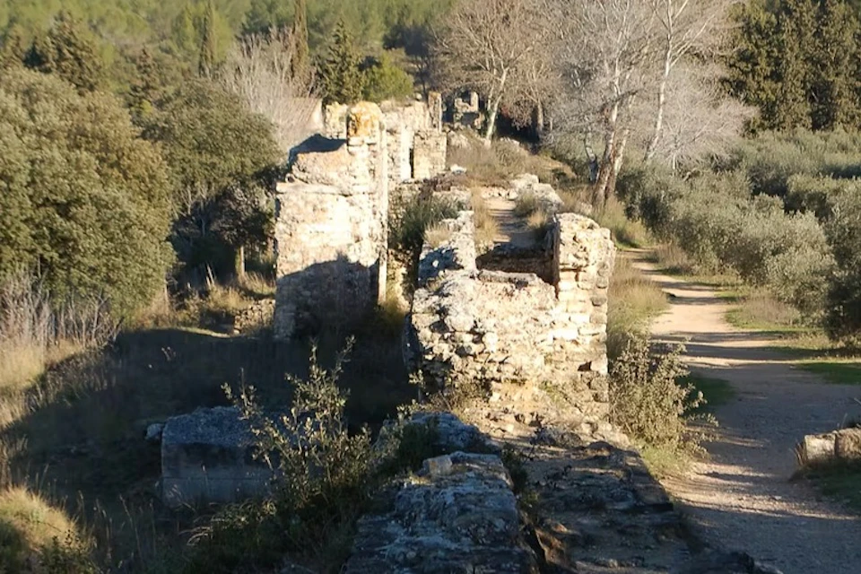 Ancient stone ruins surrounded by trees and bushes under a clear sky, with a dirt path on the right side.
