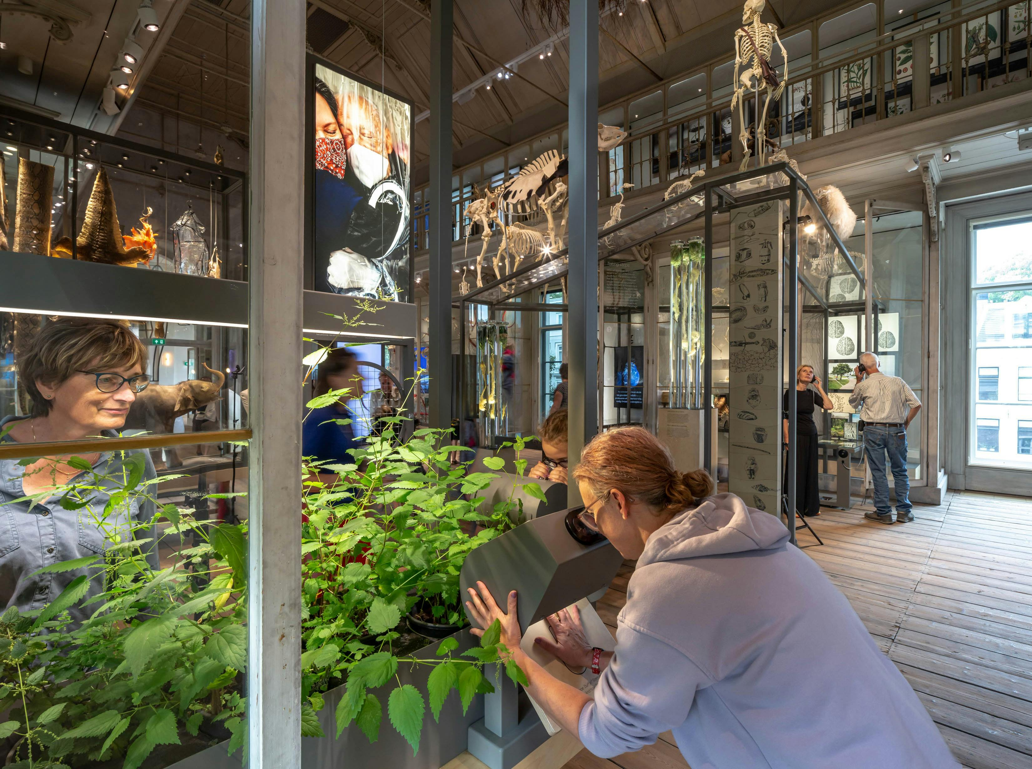 ARTIS-Groote Museum: Toegangsbewijs | Tiqets