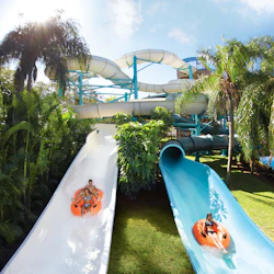 SeaWorld Orlando: Multi-Park Pass + Free All-Day Dining 5
