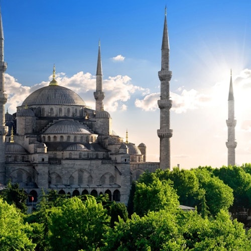 Istanbul: Blue Mosque Guided Tour