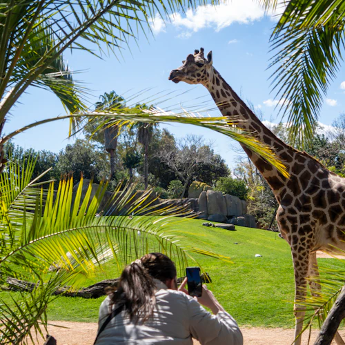 Bioparc Valencia: bilhete de acesso rápido - Photo 2