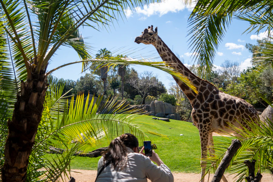Bioparc Valencia Tickets