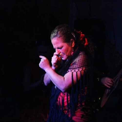 El Toro y la Luna Tablao Flamenco Show com jantar e bebida - Photo 2