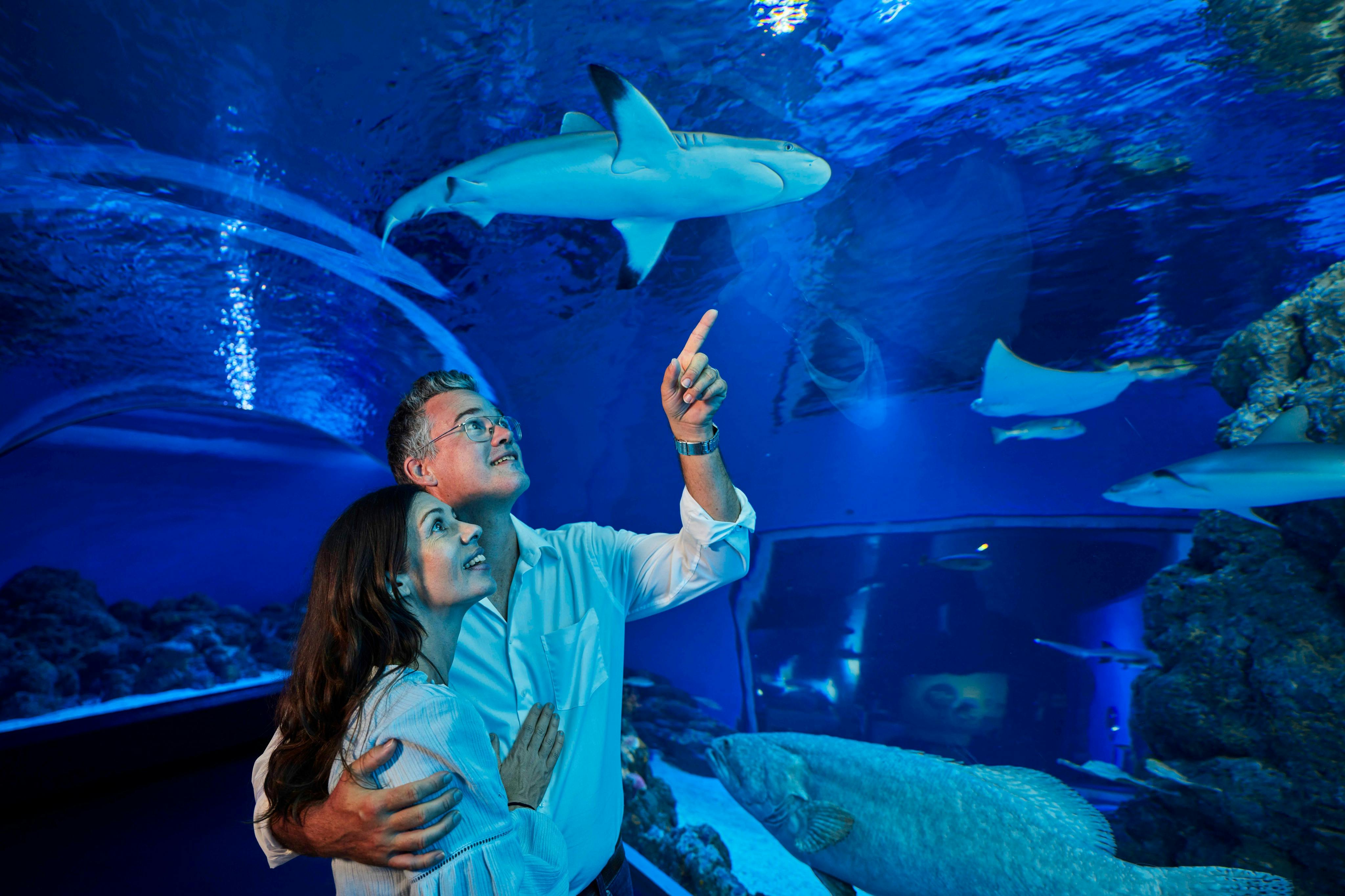 Ein Paar beobachtet die Unterwasserwelt in einem Aquarientunnel, in dem Haie und Fische in einer blau beleuchteten Umgebung über ihnen schwimmen.