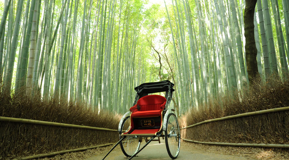 A rickshaw with a red seat stands on a pathway surrounded by tall bamboo trees in a serene forest setting.