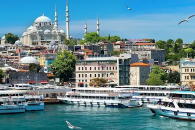 Estambul: Crucero turístico por el Bósforo + Palacio y Harén de Topkapi