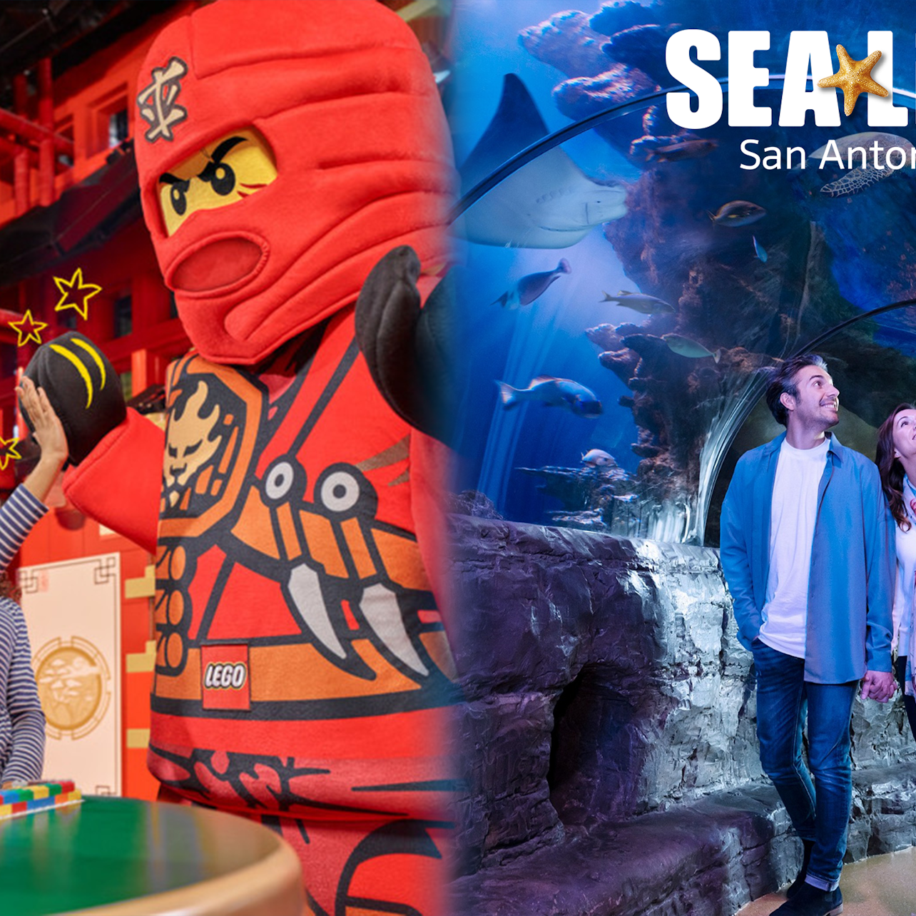 Biglietto combinato LEGOLAND® Discovery Center & SEA LIFE San Antonio - Alloggi in San Antonio