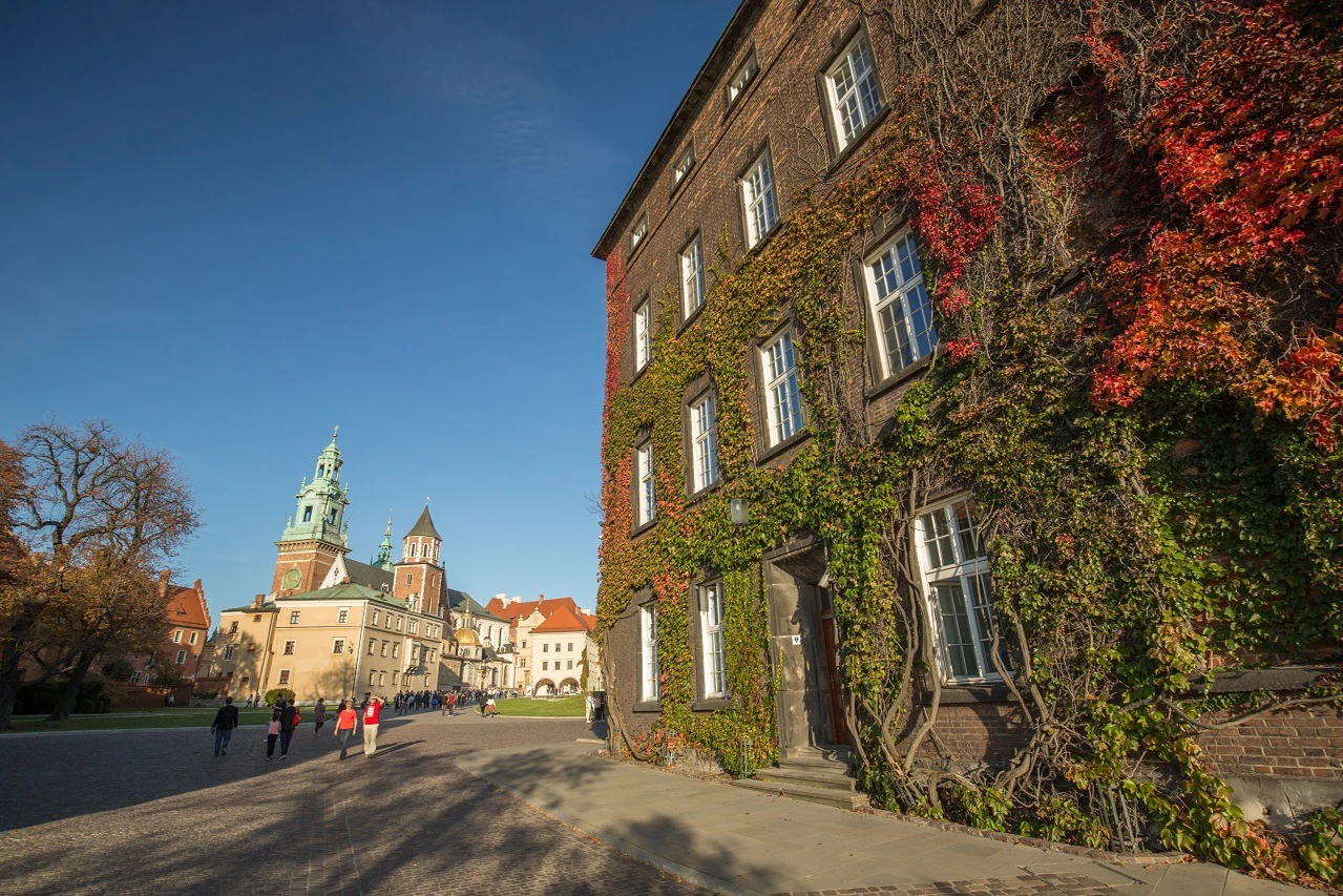 Wawel Castle, Cathedral & Rynek Krakow: Entry Ticket, Guided Tour + Lunch