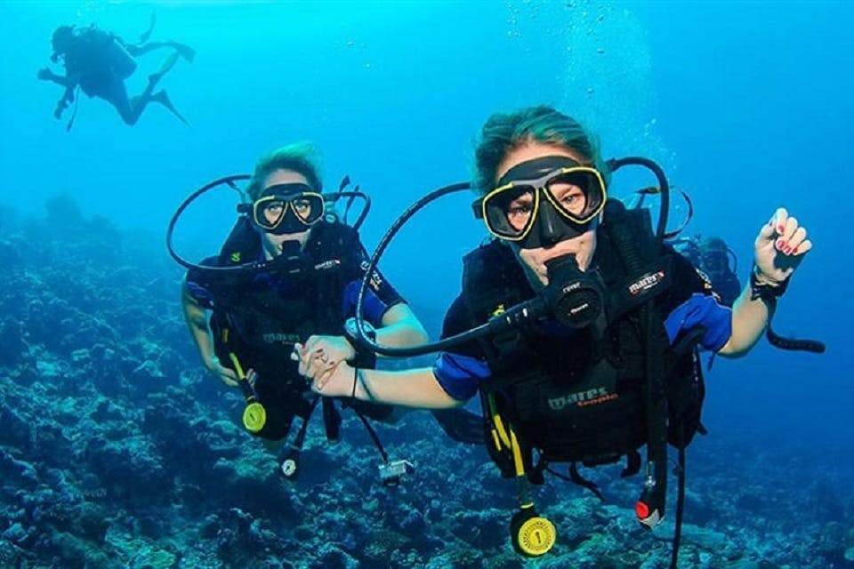 Two scuba divers in blue water wearing black diving gear, holding hands, and swimming over a rocky seabed.
