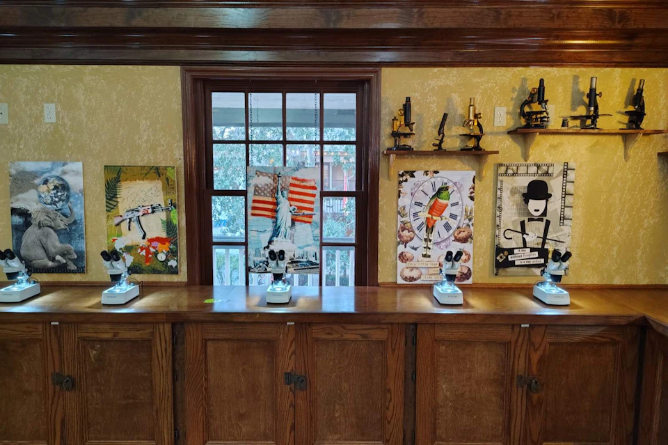 A wooden counter with microscopes and colorful art pieces on the wall, beneath a window and shelves holding vintage microscopes.