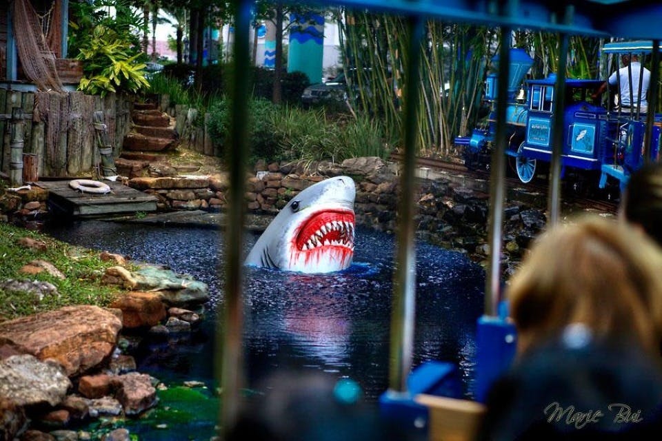 Houston: City Bus Tour + Downtown Aquarium Entry Ticket