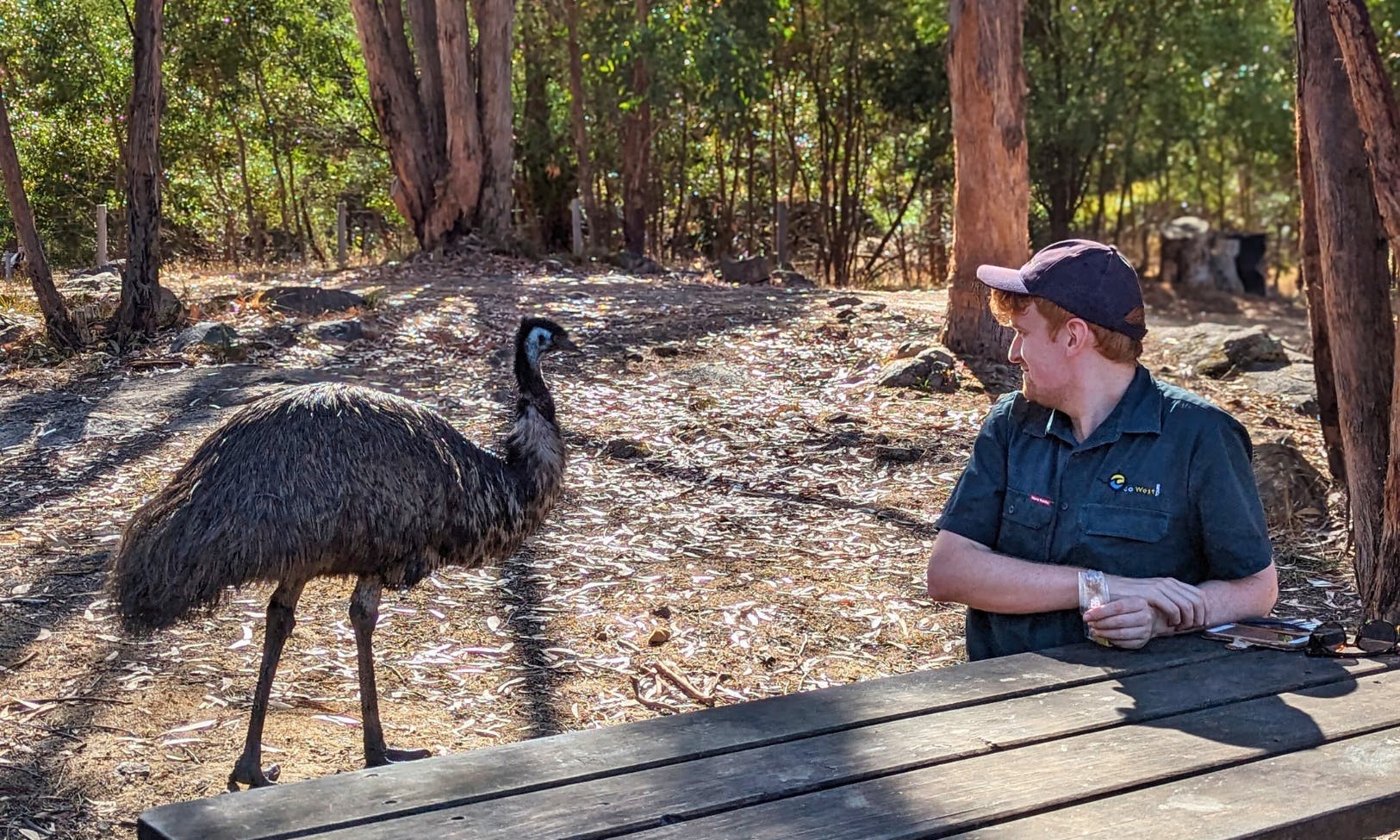 一位户外人士坐在木制野餐桌旁，手里拿着一个小包，向左看。 背景是树木。