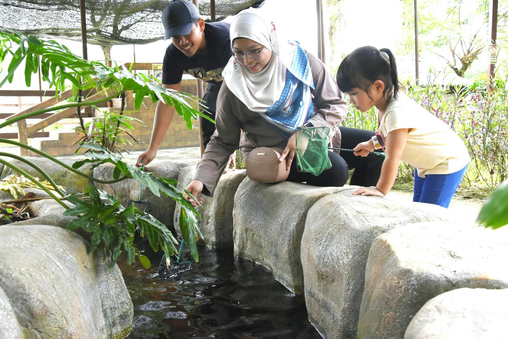 Three people, including a child, interact with a pond, leaning over a rock edge, under a shaded outdoor area.