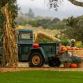 Historic truck surrounded by pumpkins and autumnal decor.