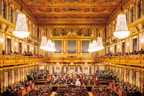 Wiener Mozart Orchester in Höchstform