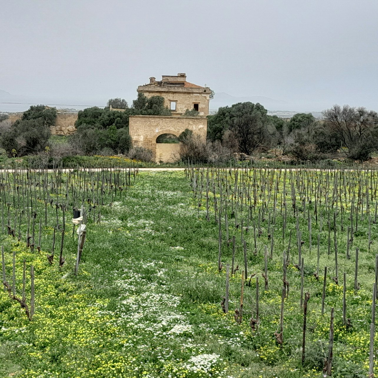 Gallery image 12