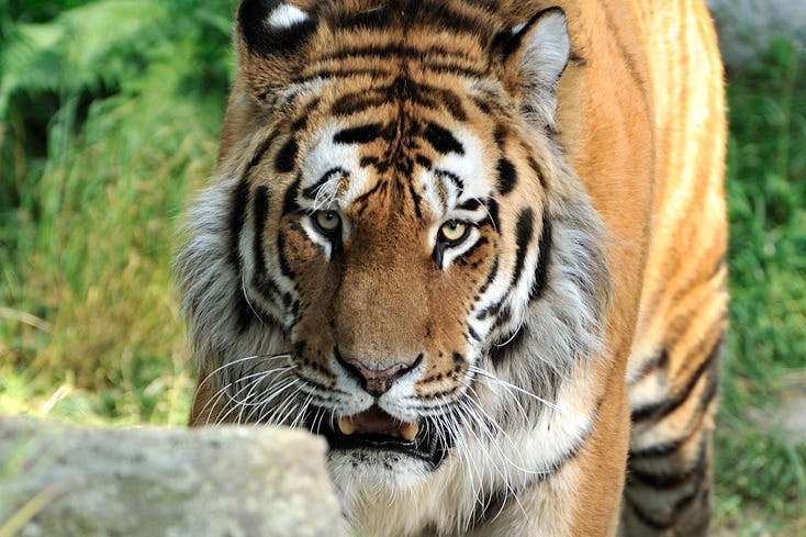 &lt;City 64765&gt;のおすすめのアクティビティ #5：ケルン動物園&amp;水族館