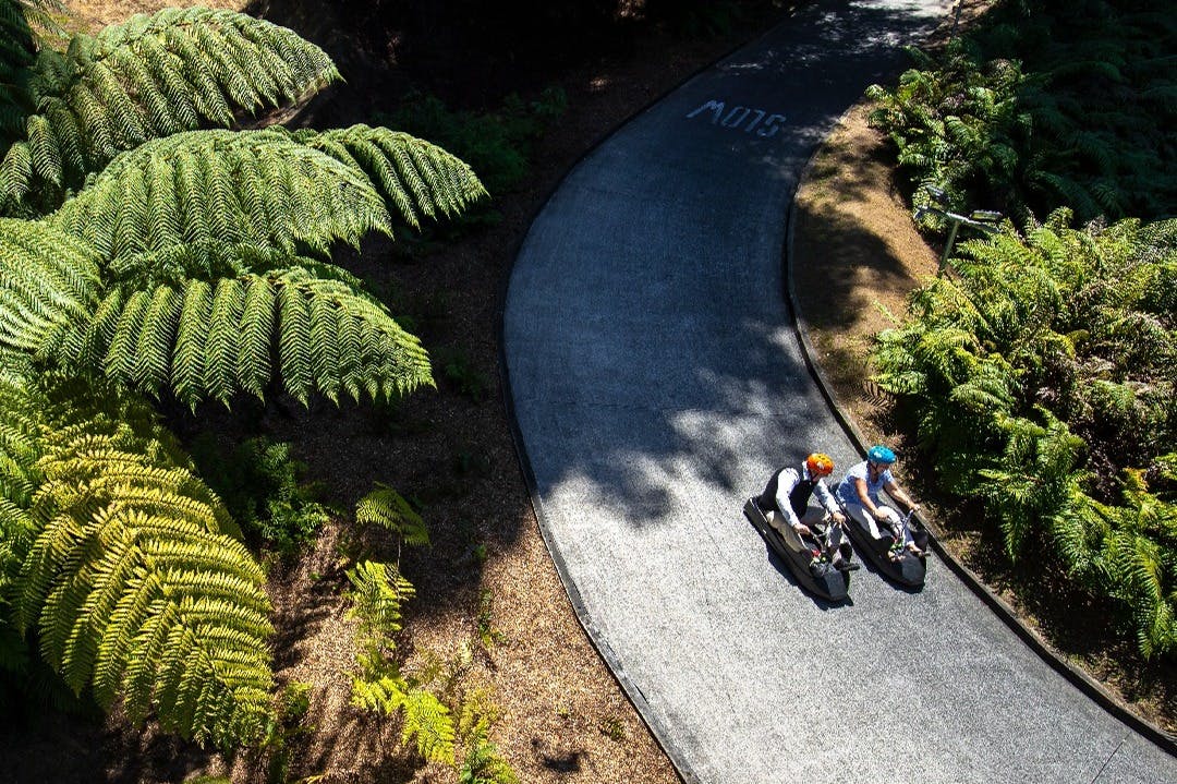Dva lidé v helmách se prohánějí po křivolaké cestě obklopeni svěžími zelenými kapradinami.