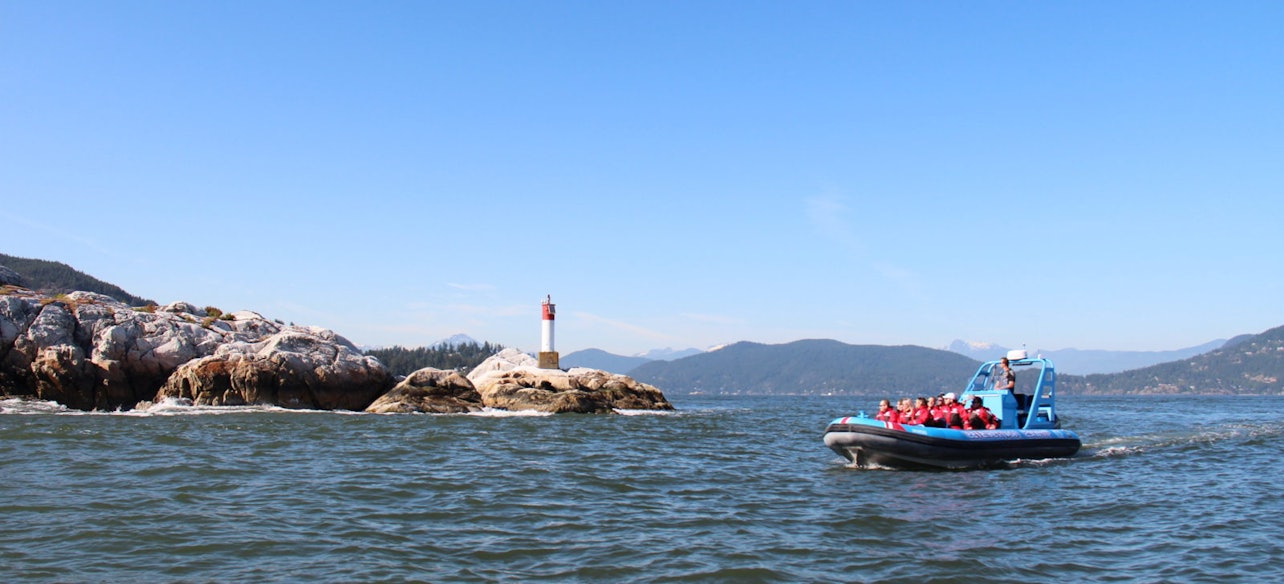 Crucero por Vancouver con avistamiento de focas - Alojamientos en Vancouver
