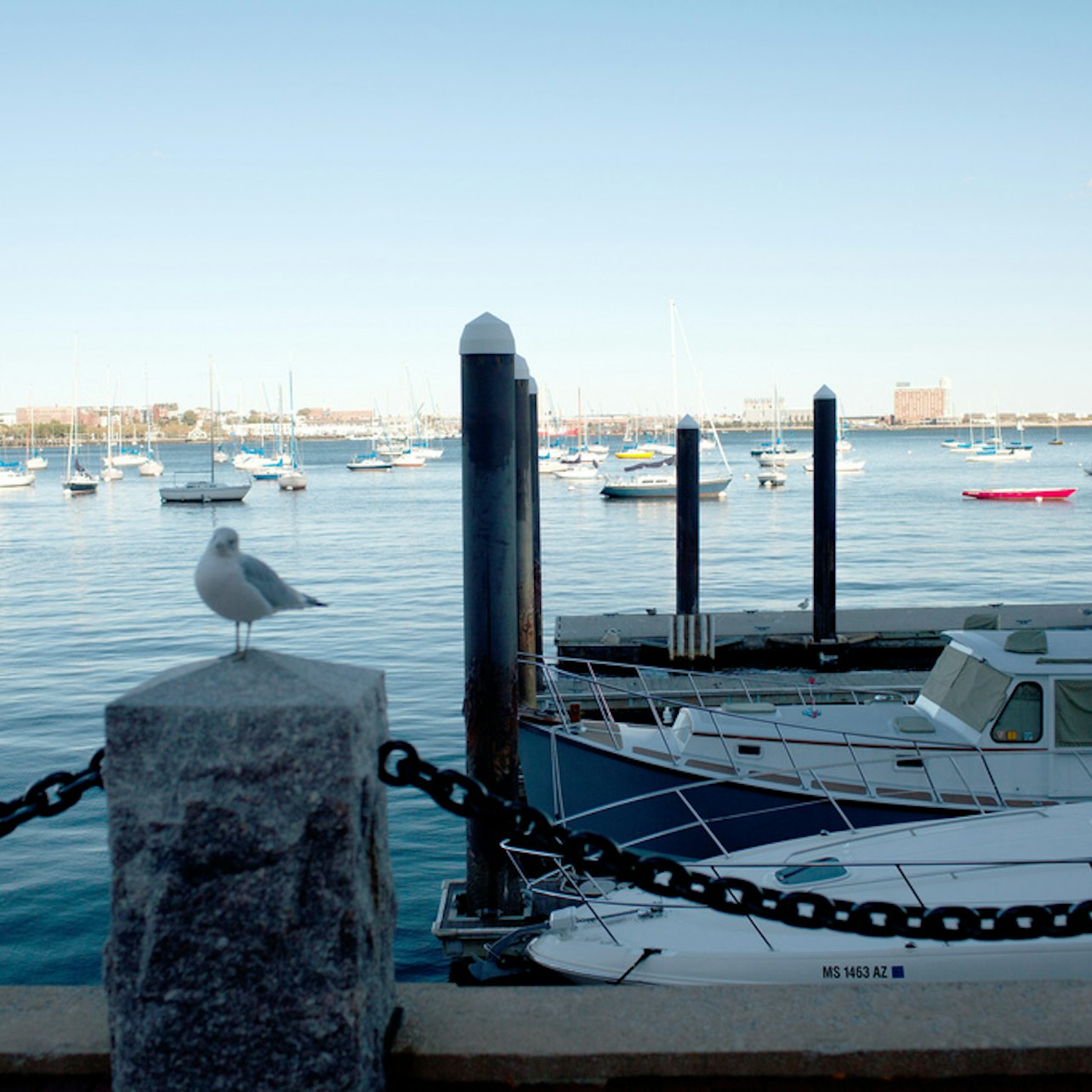 Boston: Tour de los amantes del marisco - Alojamientos en Boston
