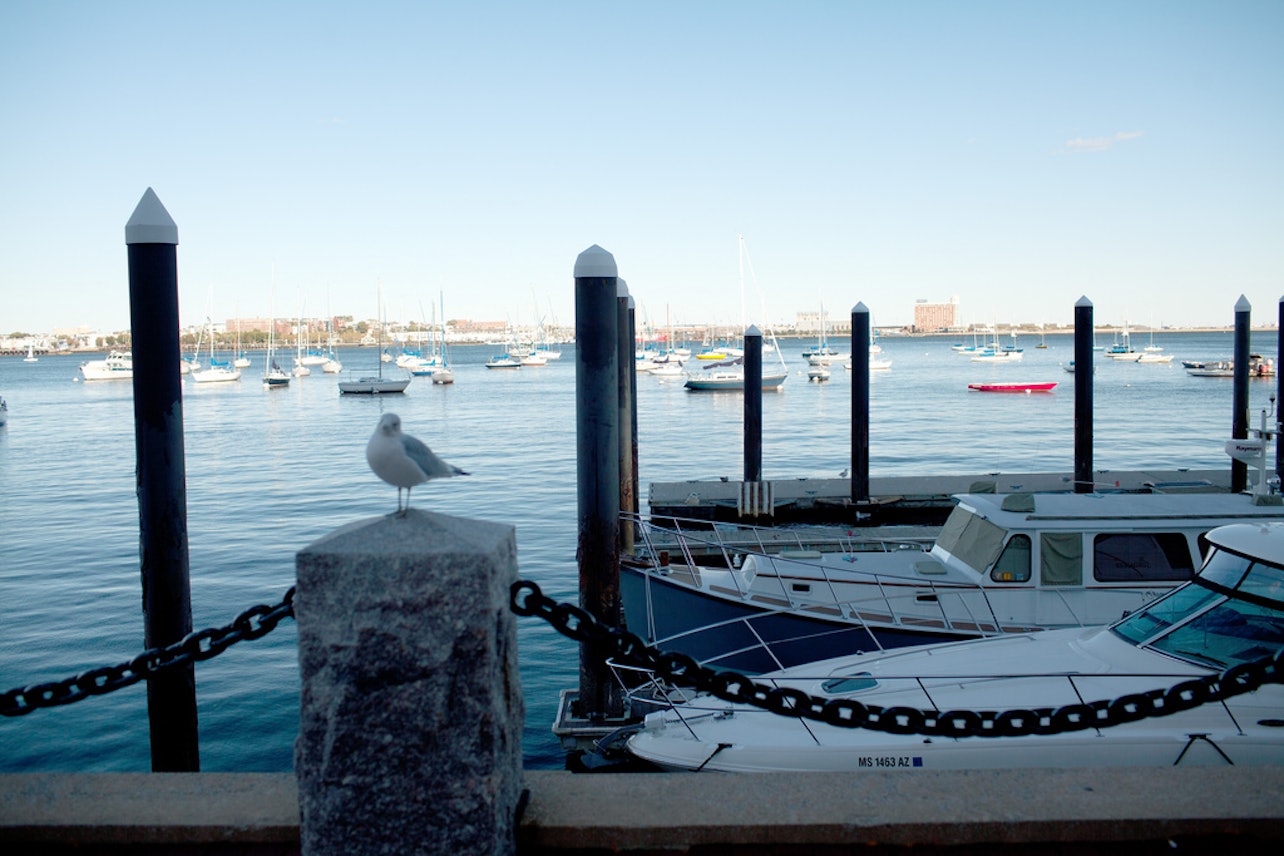 Boston: Tour per gli amanti dei frutti di mare - Alloggi in Boston