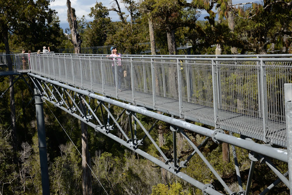 A person walking on a tall metal bridge surrounded by treetops in a forested area.
